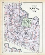 Avon Town, Livingston County 1902